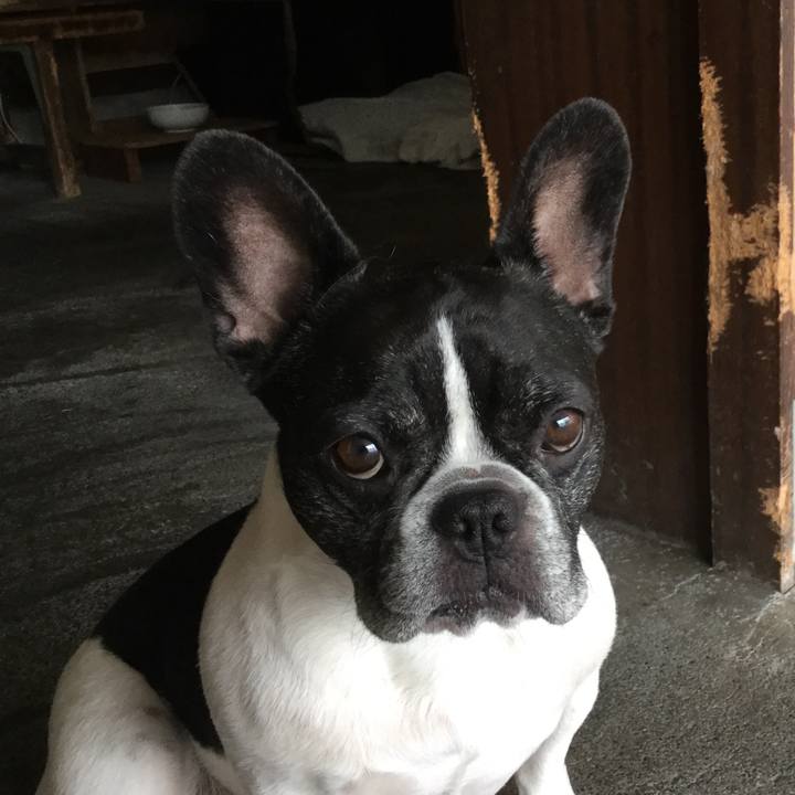 204bf982 b26d 4ef8 b908 92772f14e997