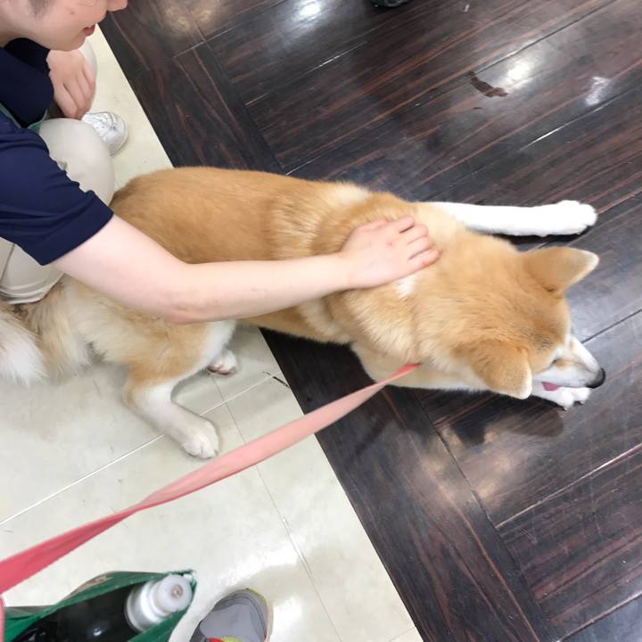 204ca967 da5f 416b 9daa a5b20bdf5e6d