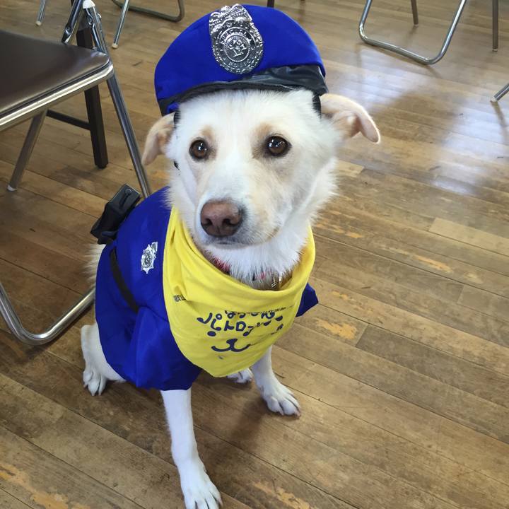 204cad17 7164 4c6a bfe4 2f32070302ad