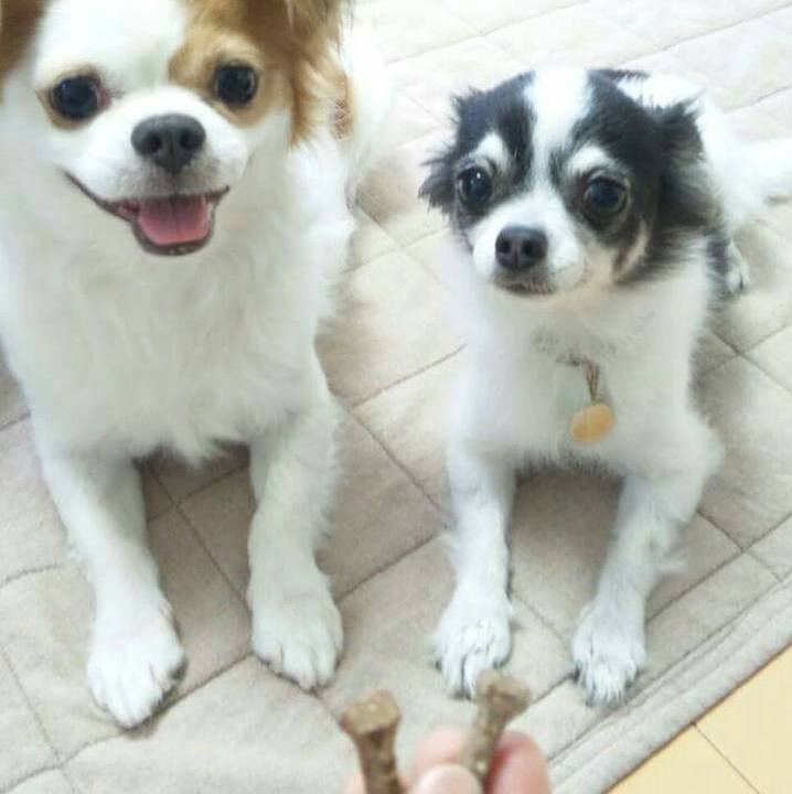 204cd104 29f5 4ce0 be8a d7d453eae32c