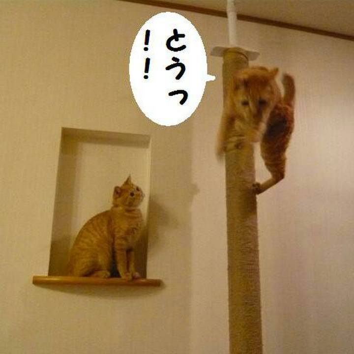 204ce369 875d 47b8 be4e f22e64c80246