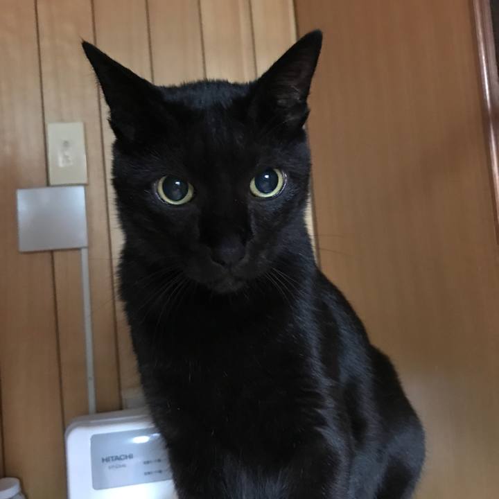 204d7ae0 92b0 4697 88bc 160133b64e82