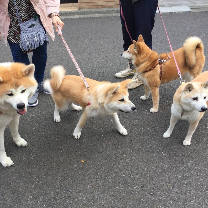 204da067 fd89 4ba6 9c1c 321aa36852b1