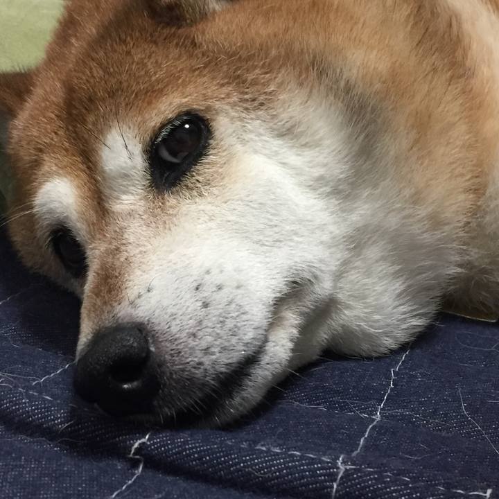 204da66e 9f19 40fa b550 e2a84e2e2fb4