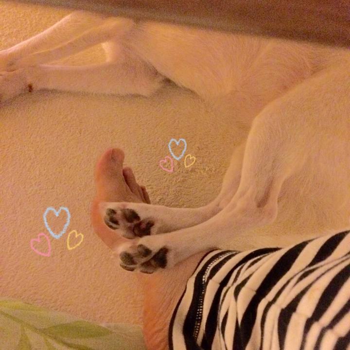 204dc930 108f 4ab7 9a28 b6d82342f384