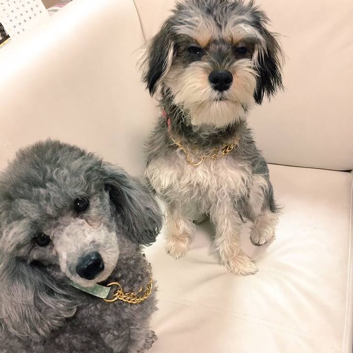 204e401b 3386 46bd 8969 c7eb36dcf8e7