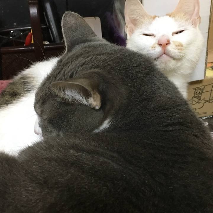 204f75f5 76c5 4e13 9fa6 e63d3f56f40f