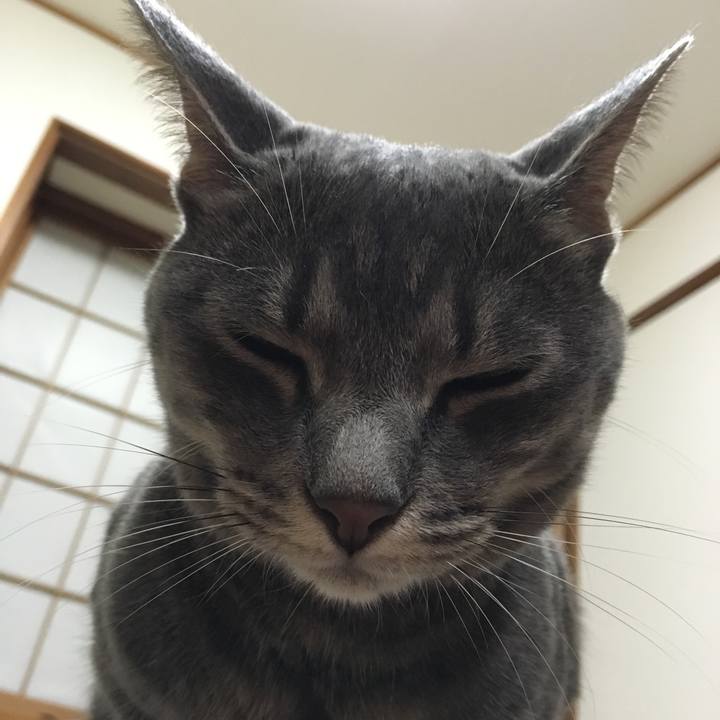 204f9aa0 5e1c 499b b774 f76aba7facb5