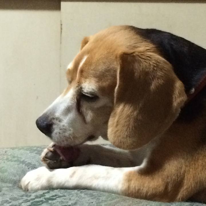 204f9b23 144f 4f99 bf95 0d070d3fec12