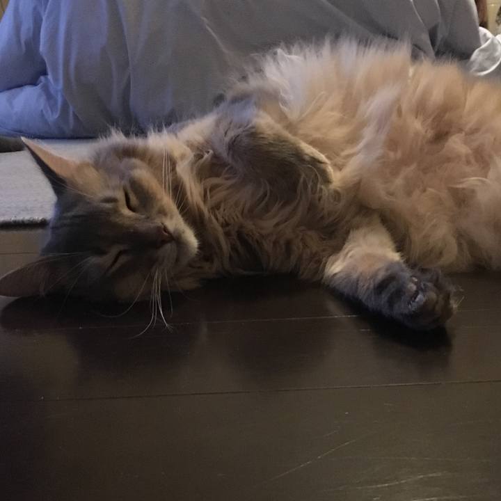 204ffc16 4076 45dd a9e7 316a6f45ce1e