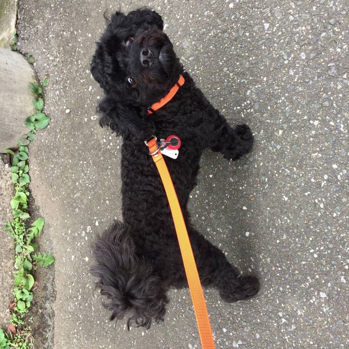 20504cbc 290a 44d9 8fb3 03effcd51a8b