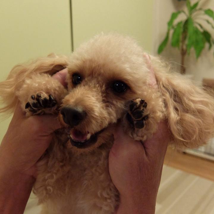 2051615c 5380 4331 813d 7fb21048d47b