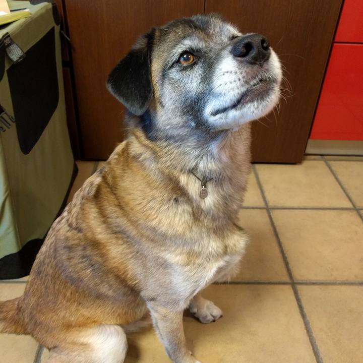 2051ae18 5696 4d62 a689 2babb39fbdec