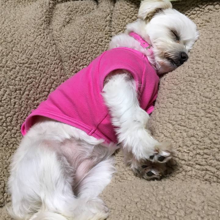 2051cdae 491c 4068 80d6 ad47684b77fd