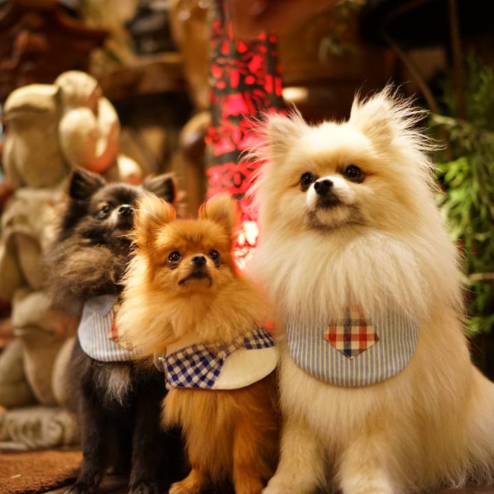 2051ce75 67e9 4361 bda5 c0885dc7605a