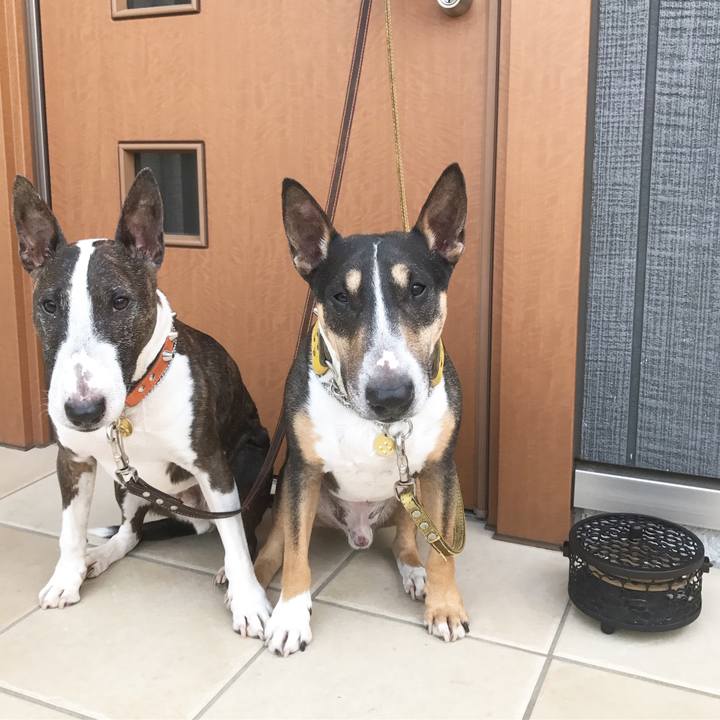 20520c51 2f67 4005 9df7 b6e429df9f68