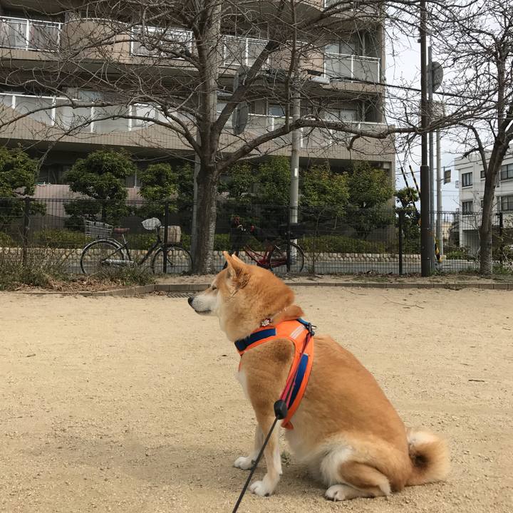 2052f43a a5ef 4ae8 8417 7ce944f724c0