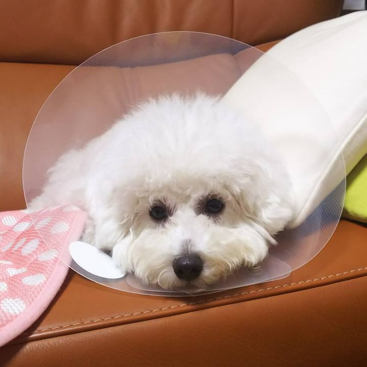 205318ae 3b63 40c0 a205 9f622df0f9ff