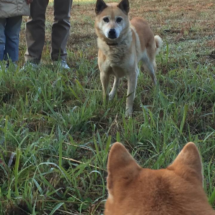 20546295 e238 4906 9509 36c5f995f60b