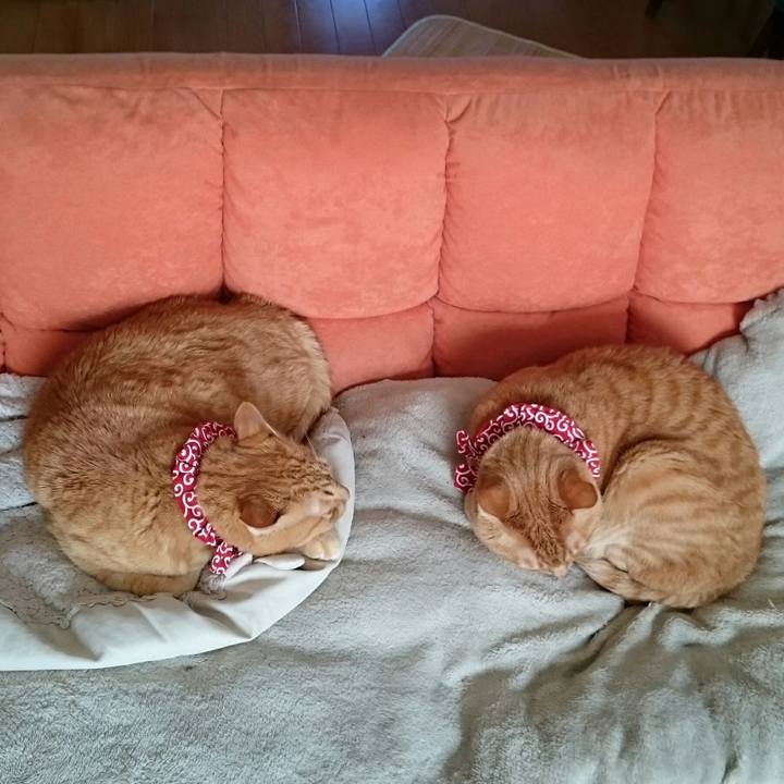 2054d947 7a8f 4217 aad7 09f058d6b91b