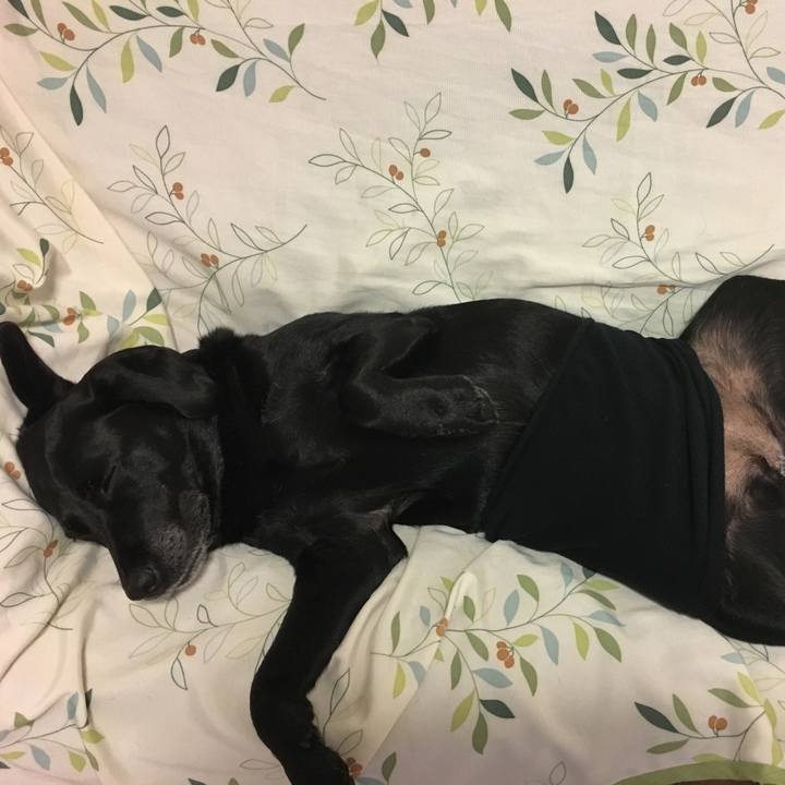 20556a86 f17b 4ca7 af14 bfcb3da658a0