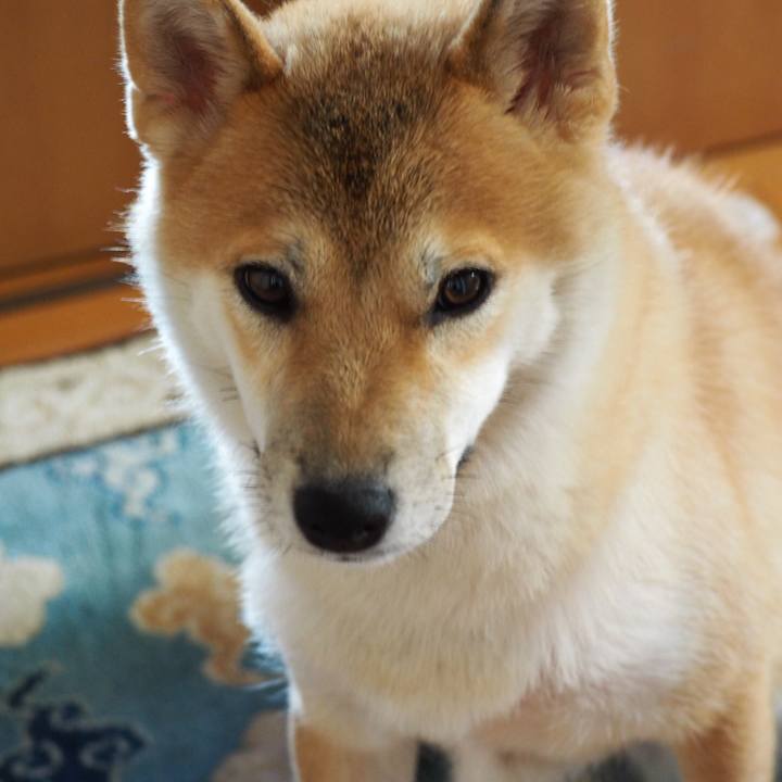 2056127c 81d7 49b5 b753 a97c16d5f99b