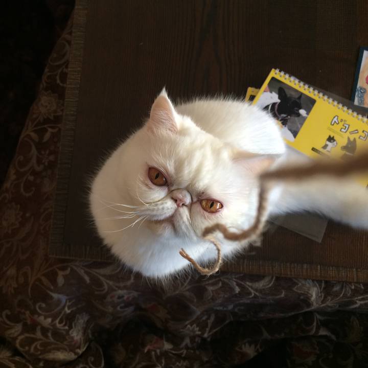 2056501d 50e6 42b8 8464 e5bce440b5ec