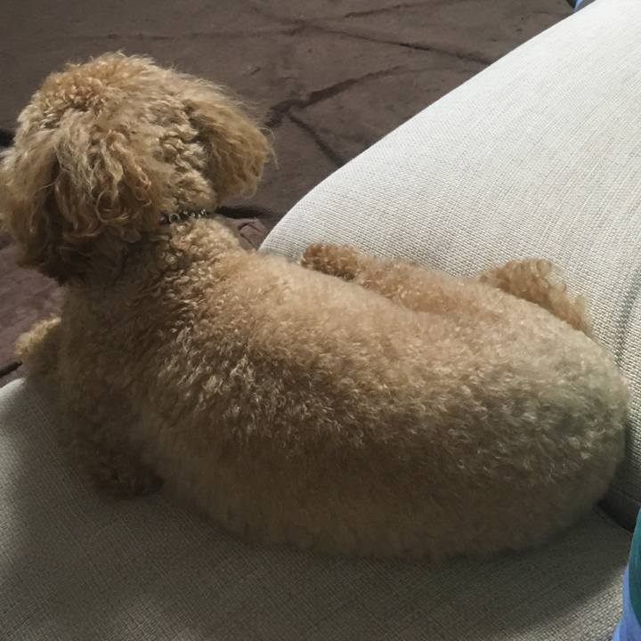 205728fb aeec 47f5 bd7a 2b5c91f3b801