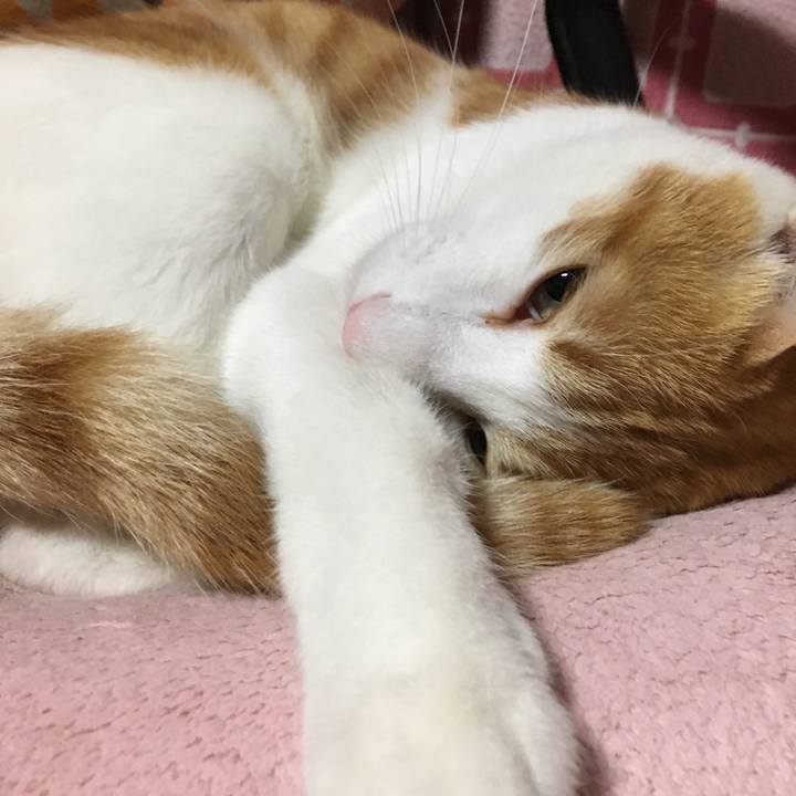 2057368e e4dd 4141 b1a0 c2f4c0d448bd