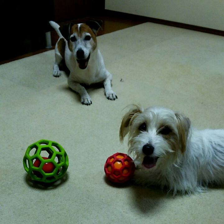 2057ab17 c2e5 4e8c 8f9e ae7e981b9d08