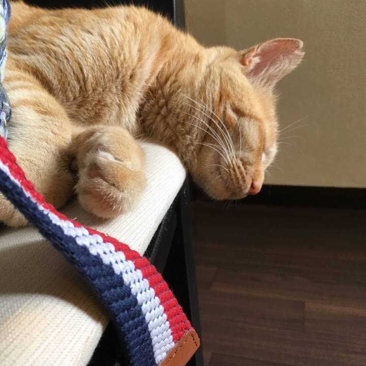 20588964 17c4 4334 a797 f7c915059f0c