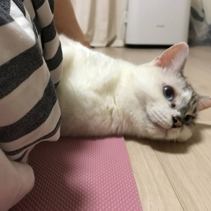 20589c32 a3d4 4642 815e ad67acfe9ca7