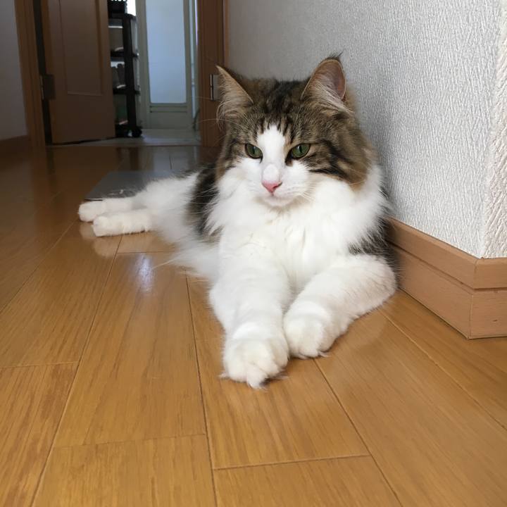 2058d0f1 1b29 43be 85ce a6a35df82f22