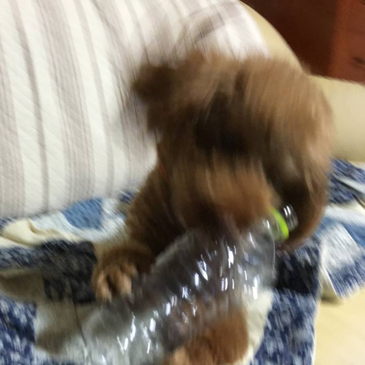 205909a0 24da 4ce6 a36d 8ede6534bbba