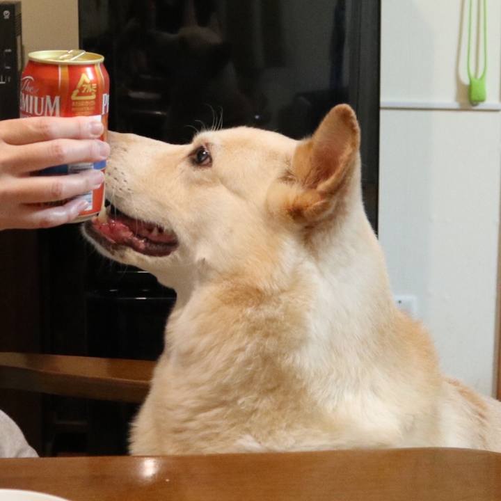 205913bb 16d5 4106 92e2 c25767a10587