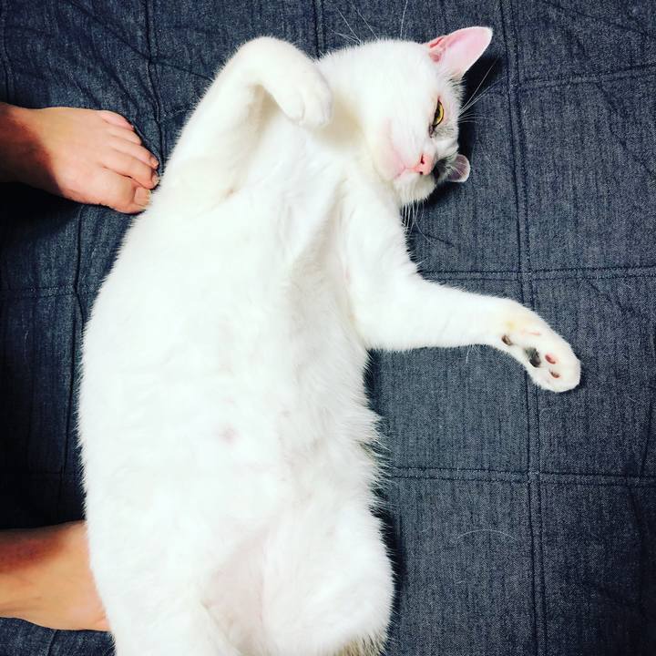 2059162e e91c 4ae9 b246 a158b8f6a300