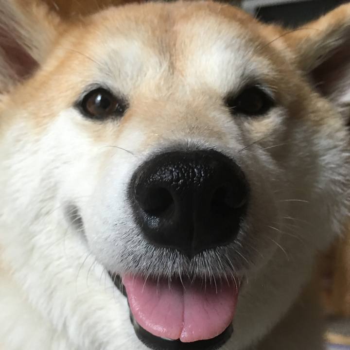 20592efa 9d80 4a1d 9e94 6cea0536529d