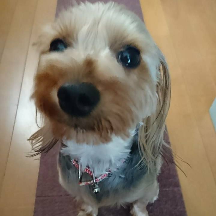 2059424c 5b4c 4ae6 a9fa d8a03a05f343