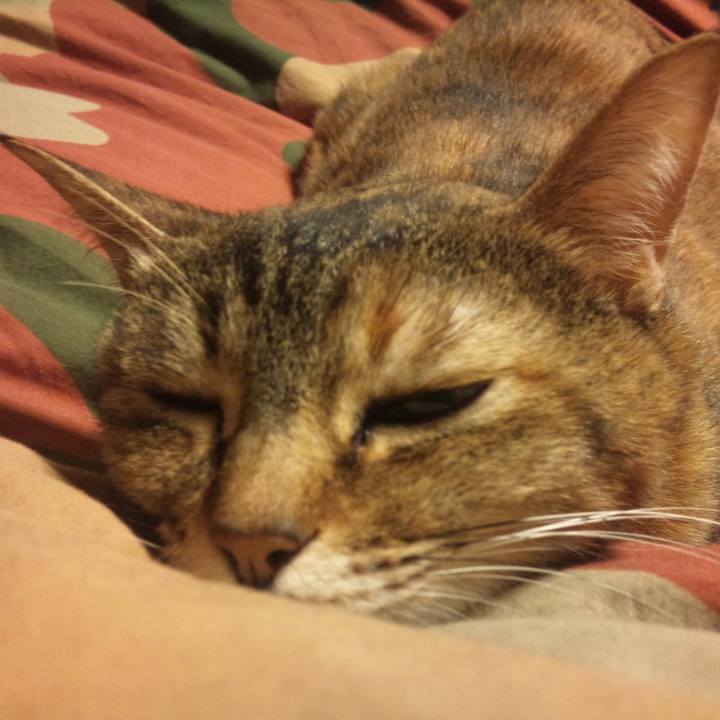 2059b042 f879 45cc b40b 668be8811b72