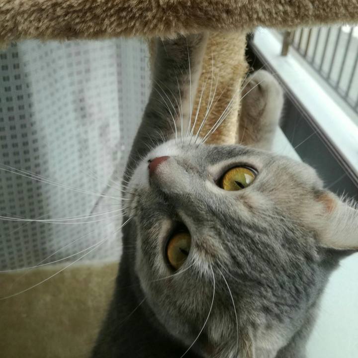 205a3b7d 4d4c 44db 9d73 d777e7ff0a09