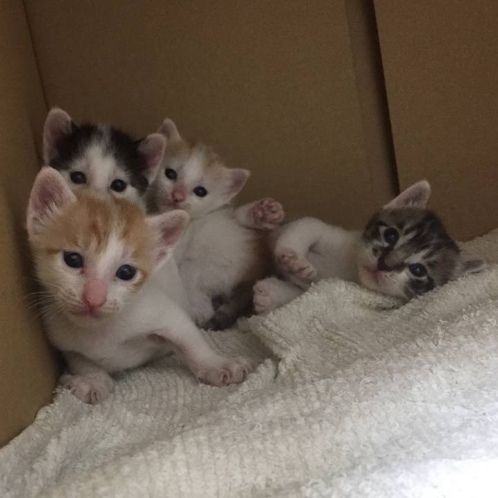 205b38a0 9b16 449f 9730 96fdc0184582