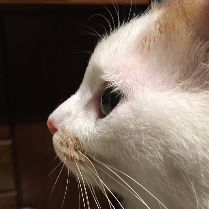 205b8211 8567 465c bd55 1d5c8a21097e