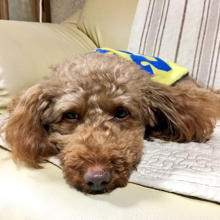 205bae6f 49c2 40f4 8aca fdedafee80cd