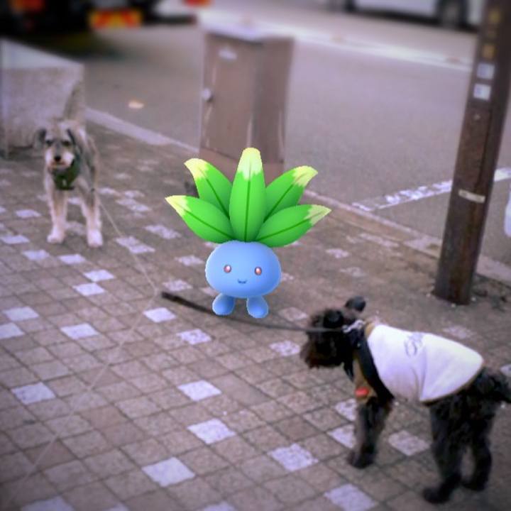 205bc64d f9cb 4b70 a279 80720226315c