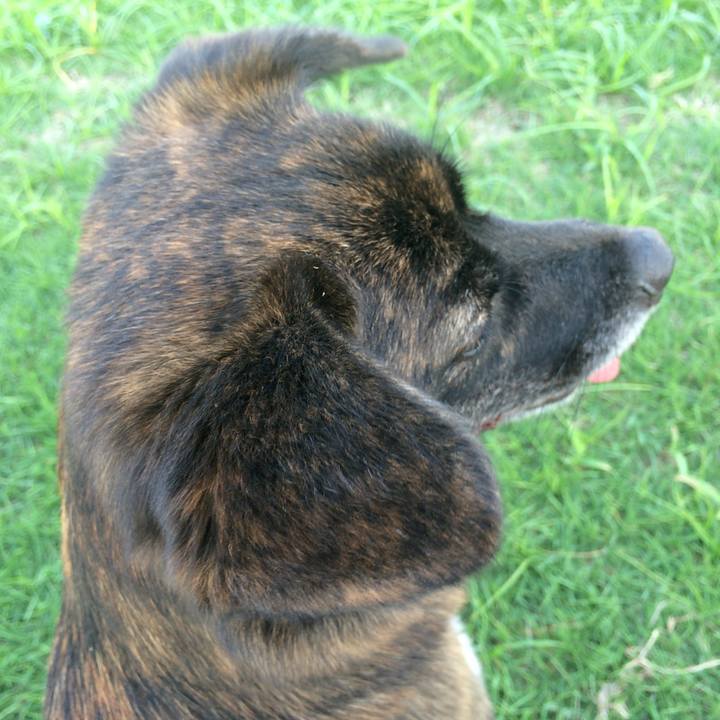 205c2b7b 9751 4d8c 9eaa 5df0f61a4bc4