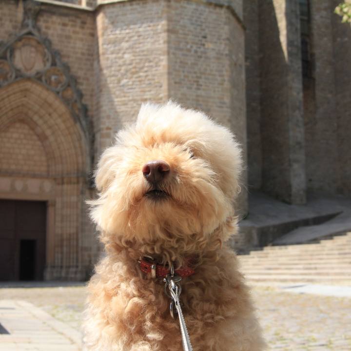 205c9ed5 9e5a 4e0e b814 4a31c10e58f6