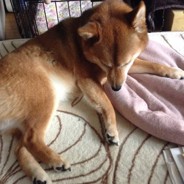 205c9f41 0a17 4c30 a5db dfbf36f219a5