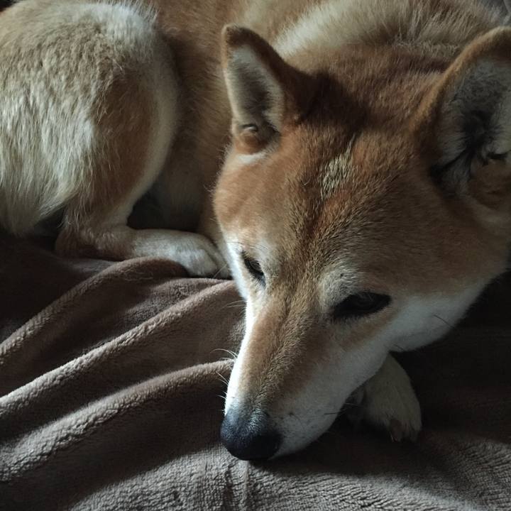 205d1235 4b8e 4b74 87fb 0aec80669940