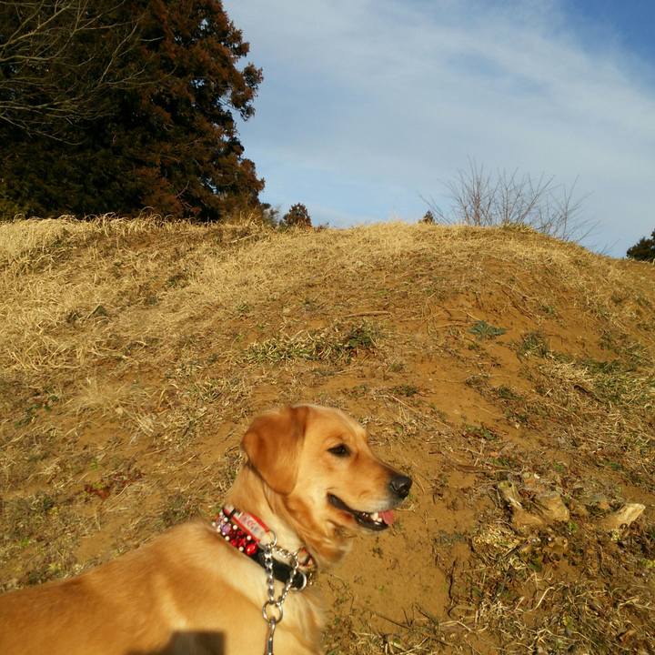 205d162d 8bcd 4184 a275 2a0e7daaa6d9