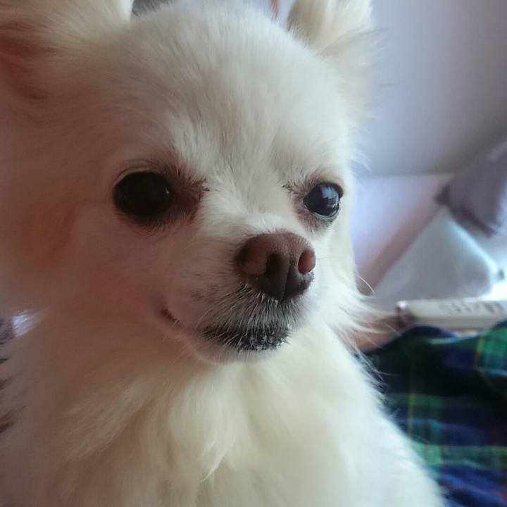 205d3c98 7df3 4ff8 8e76 5426d76814e0